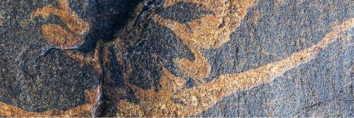 Pohjanmaan Arvo Sijoitusosuuskunnan varsinainen osuuskunnan kokous järjestetään 13.4.2022