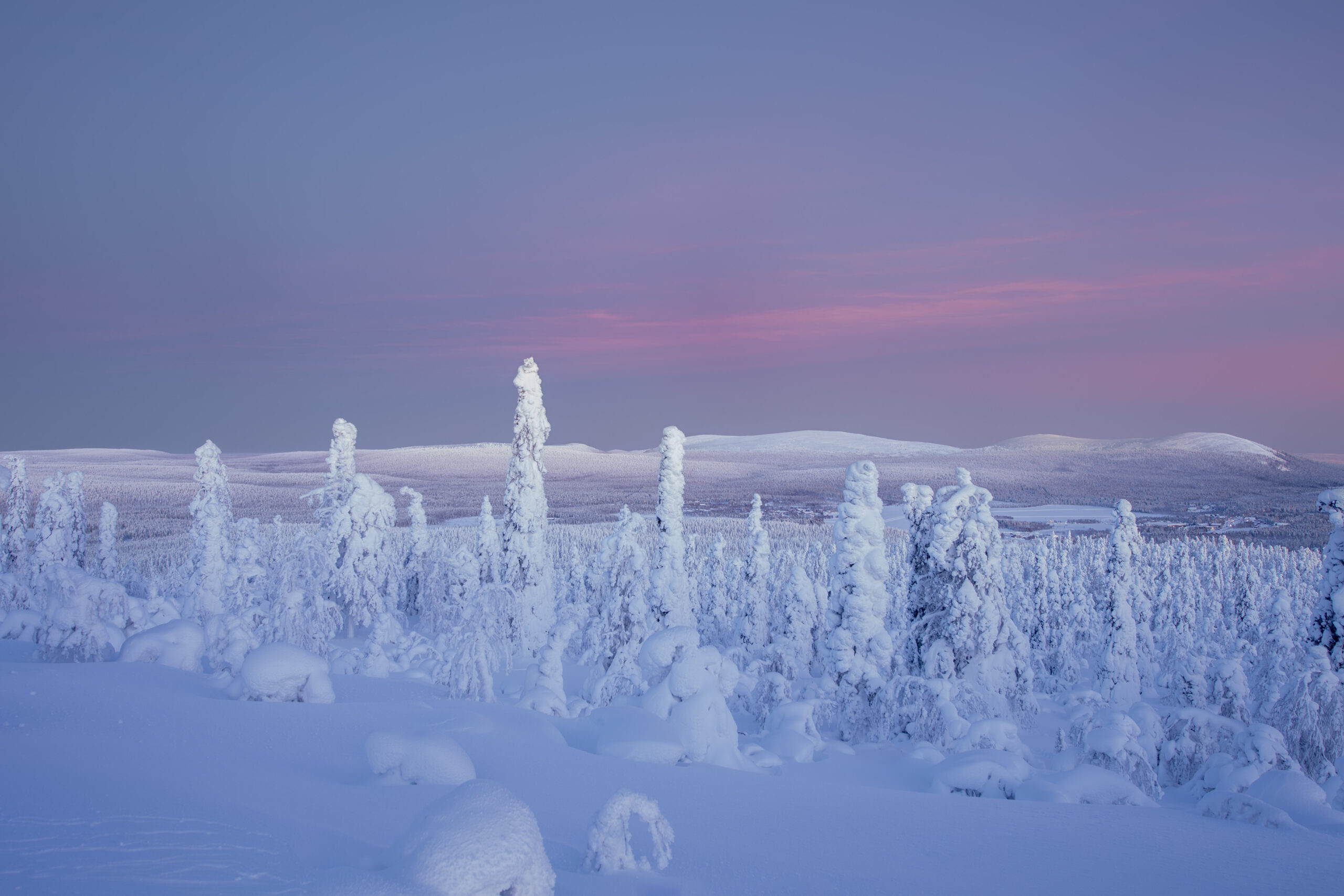 Arvo Sijoituskohteena Arvo Sijoitusosuuskunta