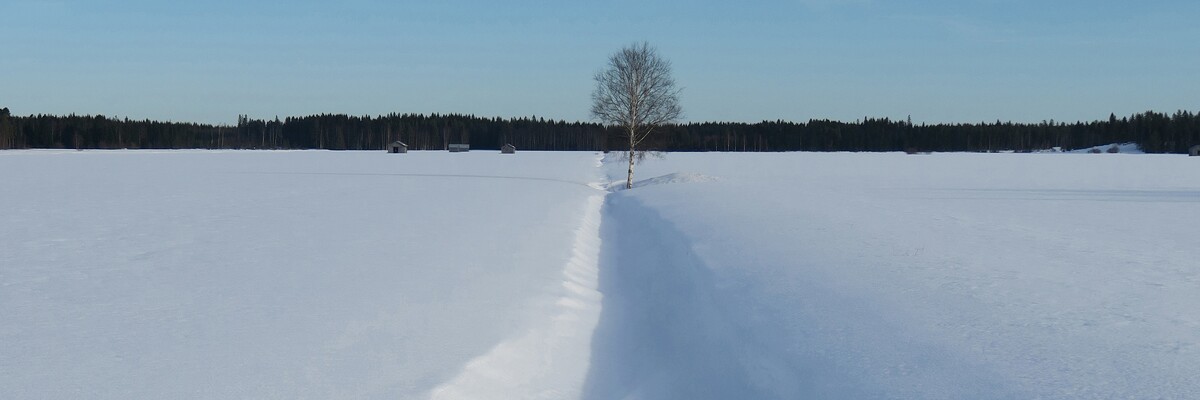 Arvon jäsenpostitus viikolla 8