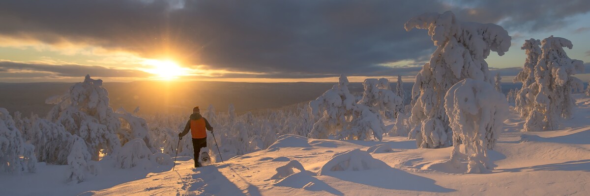 Lapin lomien kysyntä korkealla – Destination Lapland tarjoaa edun Arvon sidosryhmille